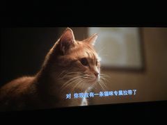 -万达影城(开福万达广场IMAX店)