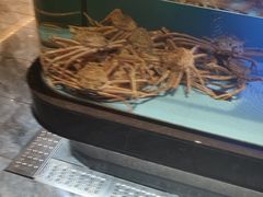 -阿伟海鲜楼·福建菜(延寿店)