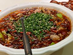 毛血旺-铜锣湾·有麝自然香(重庆新天地店)