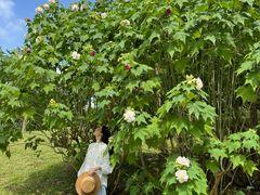 -云溪植物园