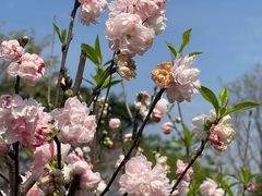 -福州大学(旗山校区)