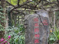 -广西壮族自治区药用植物园