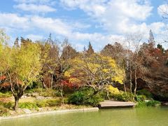 -上海滨江森林公园