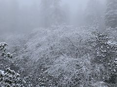 -瓦屋山景区