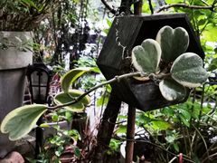 -凤凰御元艺术基地