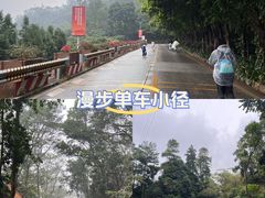 -东莞市大岭山森林公园