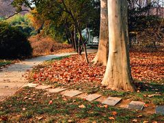 -河南省黄河迎宾馆