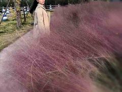 -张之洞与武汉博物馆