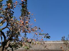 -北京石刻艺术博物馆(五塔寺)