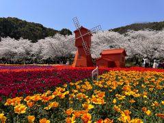 -苏州上方山国家森林公园