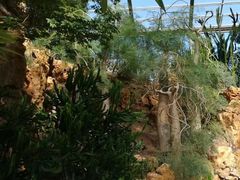 -南通洲际绿博园