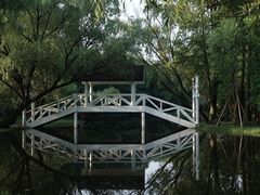 -上海共青森林公园