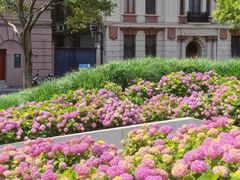 -北外滩滨江绿地