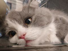 -圆融购物中心(南天成路店)