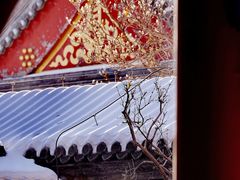 -颐和园