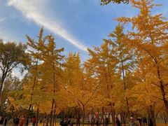 -森林公园(尖草坪区)