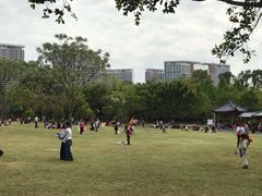 -聚龙山公园