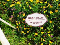 -江南大学(蠡湖校区)