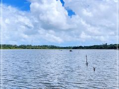 -东寨港红树林旅游区