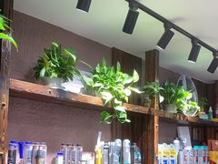 -车里行间汽车会员俱乐部·KSG隐形车衣星光店