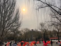 -丰台花园