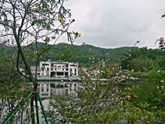 -大屏嶂森林公园