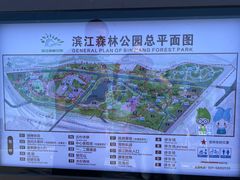 -上海滨江森林公园