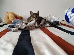 -苏州独墅湖书香世家酒店