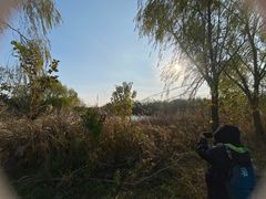 -盐城丹顶鹤湿地生态旅游区