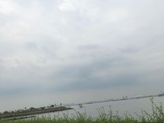 -海鸥岛