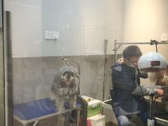 -PETKIT 小佩宠物·低压洗护·美容·寄养(安远店)