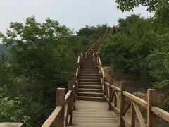 -大岭沟猕猴桃谷风景区