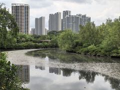 -大亚湾红树林城市湿地公园