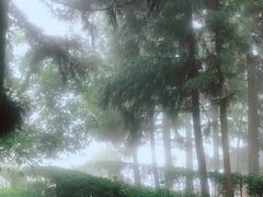 -周洛大峡谷