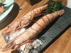 -森味薪火烧•烧鸟居酒屋•日本料理(望京店)