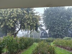 -人民公园(罗湖区)