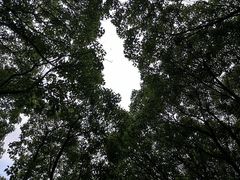 -同里国家湿地公园