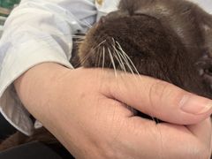 -平行世界·猫咖(首经贸店)