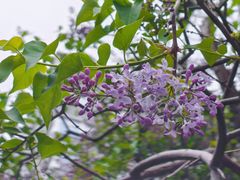 -长椿街(地铁站)