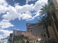 -拉斯维加斯永利酒店