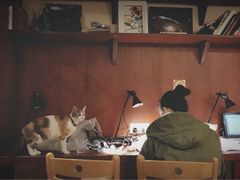 -看书吧(体育东横路店)