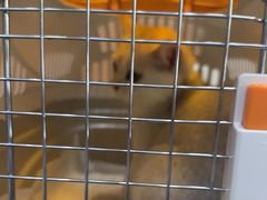 -联合动物医院(光谷诊疗中心)