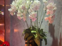 -纯K(打浦桥店)