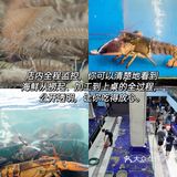 在三亚！这样的海鲜，真心建议大家反复来吃！🤗 