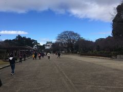 -名古屋城