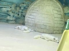 -华夏文旅海洋公园