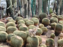 -南山植物园