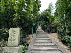 -长沙黑麋峰国家森林公园
