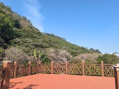 -小南山公园
