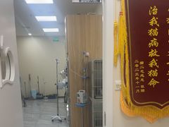 -德元·美联众合24小时动物医院(总院)